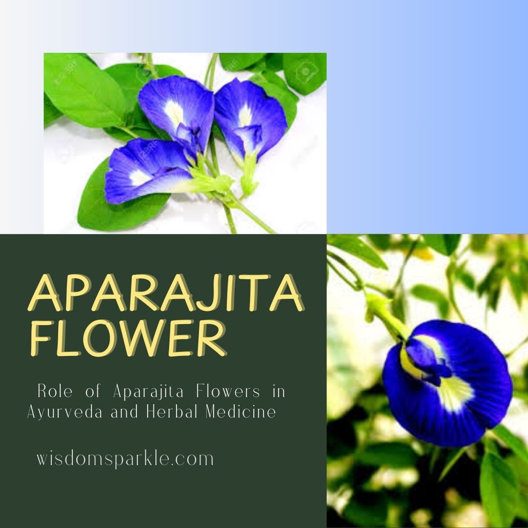 Role of Aparajita Flowers in Ayurveda and Herbal Medicine