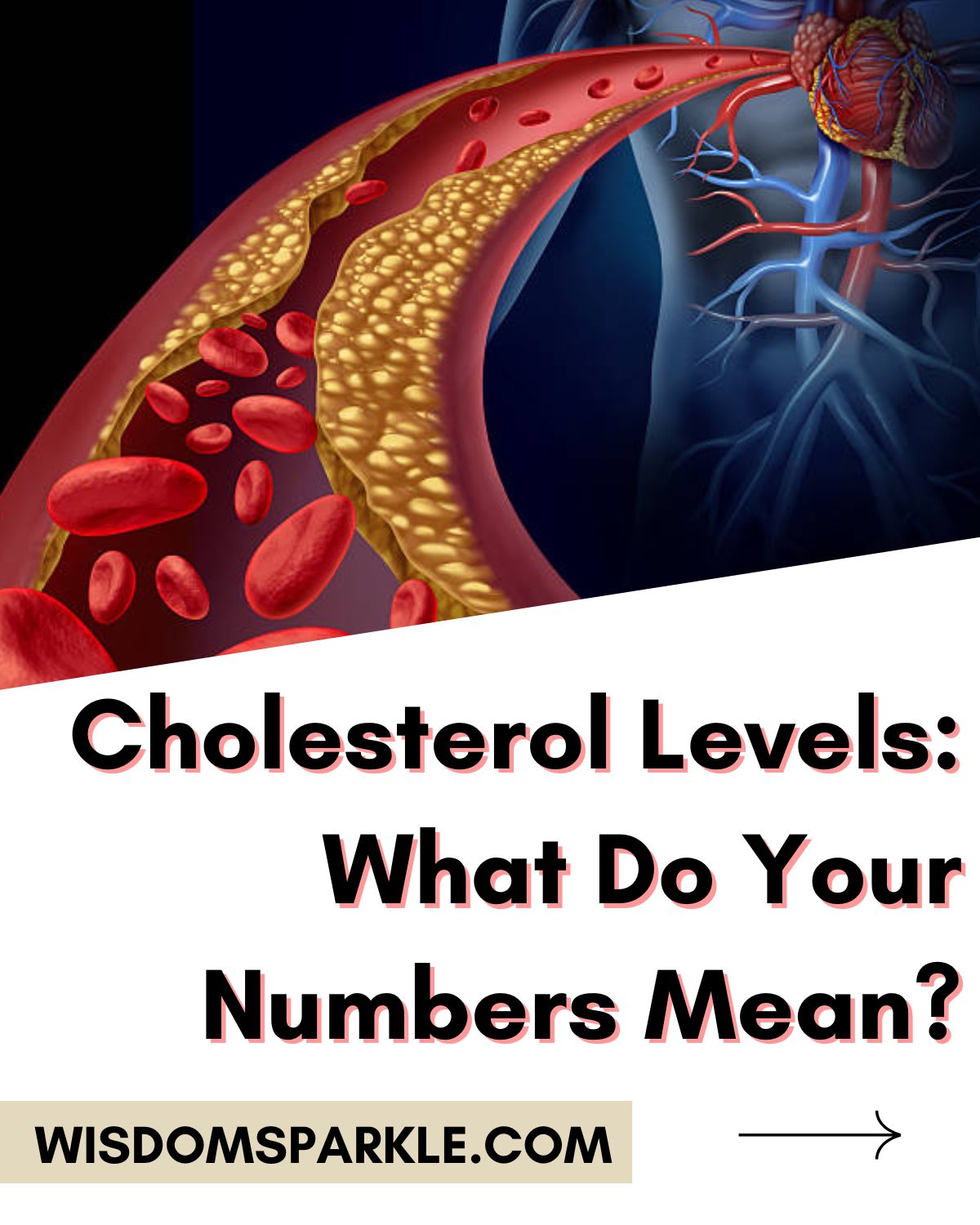 Cholesterol Levels