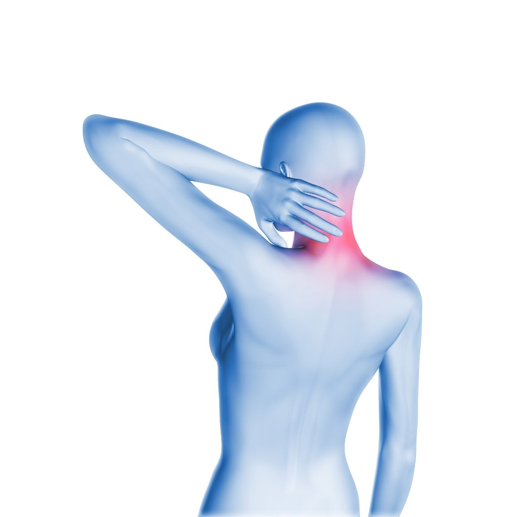 Best Recovery Routines for Muscle Soreness and Fatigue