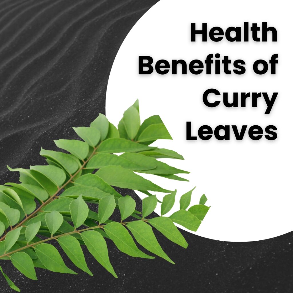 curry leaves